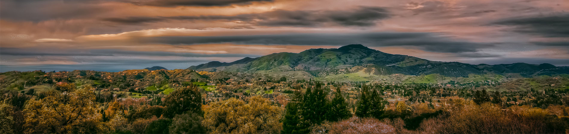Walnut Creek, CA