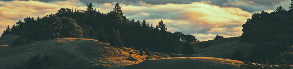 Tamalpais Valley, CA