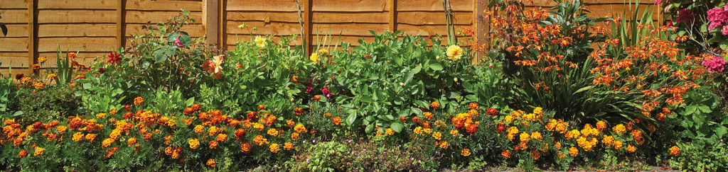 Del Paso Heights, CA