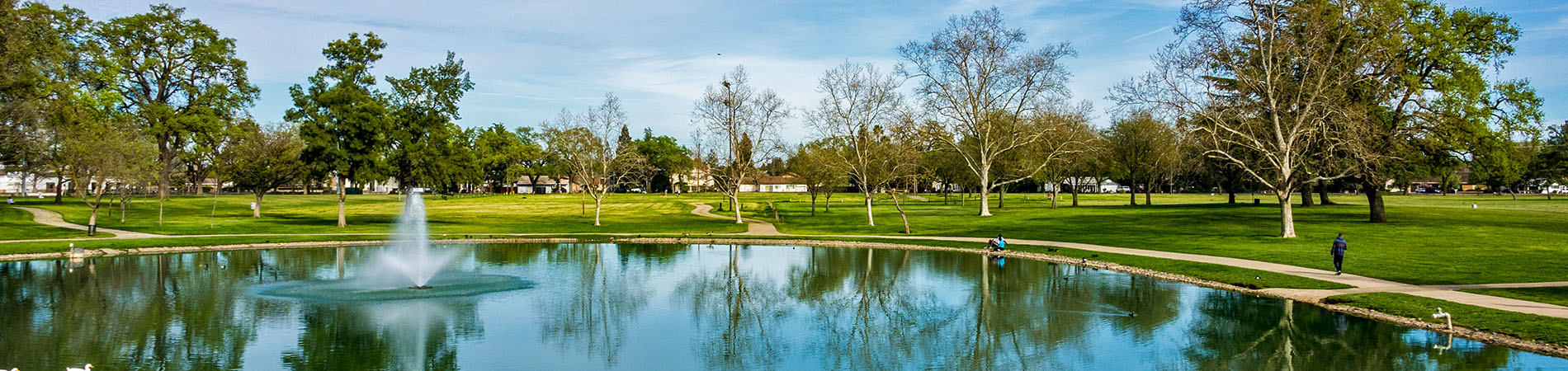 Elk-Grove