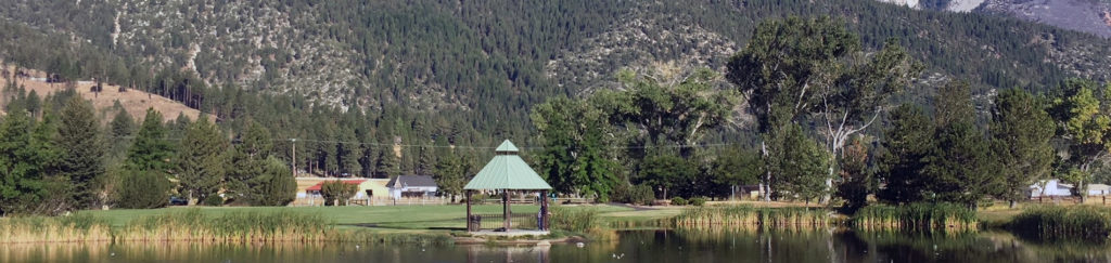 Lemmon Valley-Golden Valley, NV