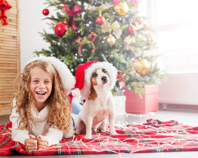 Reasons why you should allow pets at your rental property