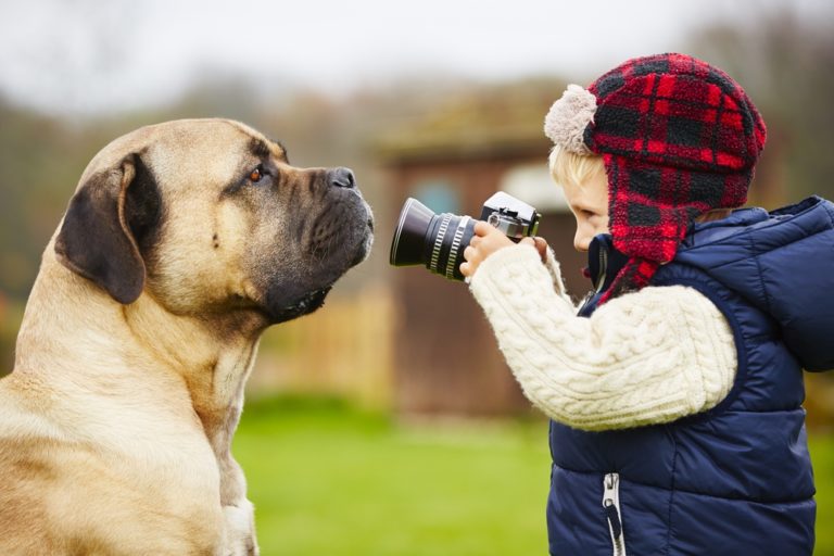 Photography Tips for Improving the Quality of Your Rental Property Listings