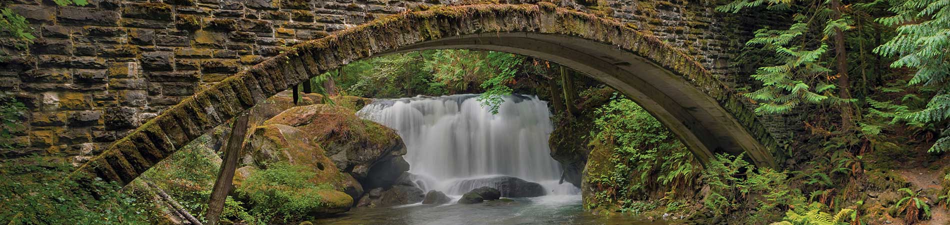 bellingham