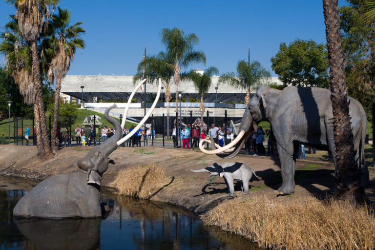 Unique Things to See in Los Angeles