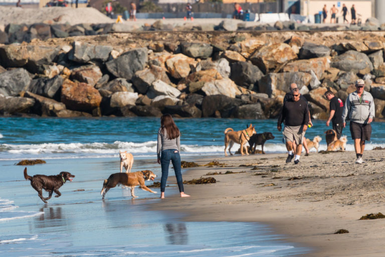 High-end Amenities Your Tenants Want
