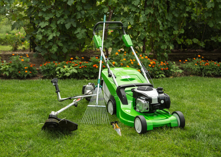 Get Off My Lawn: How to Protect Your Lawn from Weeds, Pests, and Intruders