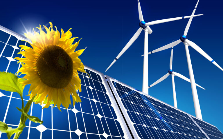 Sustainability in the Rental Market