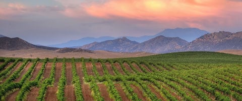 TEMECULA