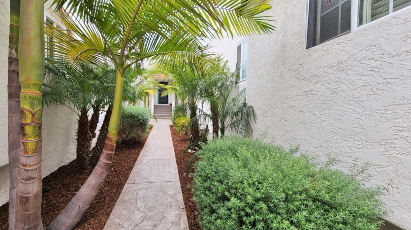 3967 A Hamilton Street  - San Diego - California - 1 bath rental property