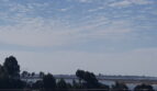 2556 Chicago Street #33 - San Diego - California - 1 bed, 1 bath rental property