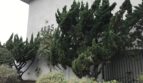 4885 Cole Street #9 - San Diego - California - 3 bed, 1.5 bath rental property