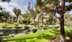 35200 Cathedral Canyon  Unit G53 - Cathedral City - California - 2 bed, 2 bath rental property