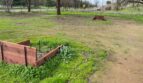 7846 Jenny Lind Road - A Lower House - Valley Springs - California - 3 bed, 2 bath rental property