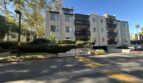 1101 Summertime Lane  - Culver City - California - 2 bed, 2 bath rental property