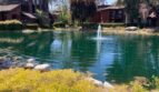 1101 Summertime Lane  - Culver City - California - 2 bed, 2 bath rental property