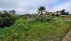 1835 Elevado Road - Vista - California - 3 bed, 2 bath rental property