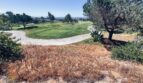 1013 Straightaway Court - Oceanside - California - 5 bed, 4.5 bath rental property