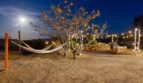 4835 Avenida La Flora Desierta  - Joshua Tree - California - 3 bed, 2 bath rental property