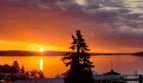 613 615 Lafayette Street - Steilacoom - Washington - 2 bed, 1 bath rental property
