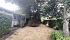 10910 SW 74th Ave.  - Tigard - Oregon - 3 bed, 1 bath rental property