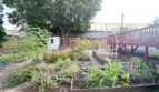 10910 SW 74th Ave.  - Tigard - Oregon - 3 bed, 1 bath rental property