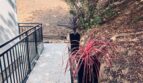 9274 Palomino Ridge Drive - Lakeside - California - 2 bed, 1 bath rental property