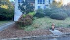 11732 SE Lexington St.   - Portland - Oregon - 3 bed, 2 bath rental property