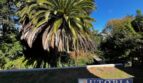 1114 Laurel St. - Santa Cruz - California - 3 bed, 2 bath rental property